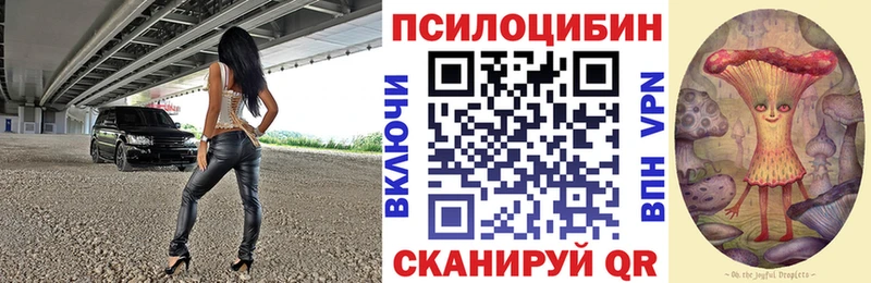 MEGA маркетплейс Советск Псилоцибиновые грибы мухоморы